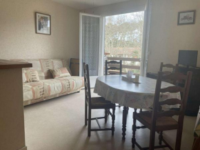 Appartement Seignosse, 2 pièces, 6 personnes - FR-1-247-211